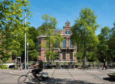 Museum Villa