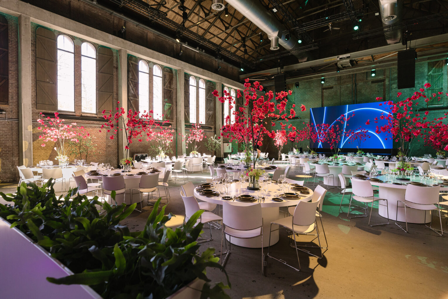 De Wester evenementenlocatie Amsterdam